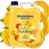  GLIMMERSTONE BASIC LINE 5l tekuté mýdlo MANGO